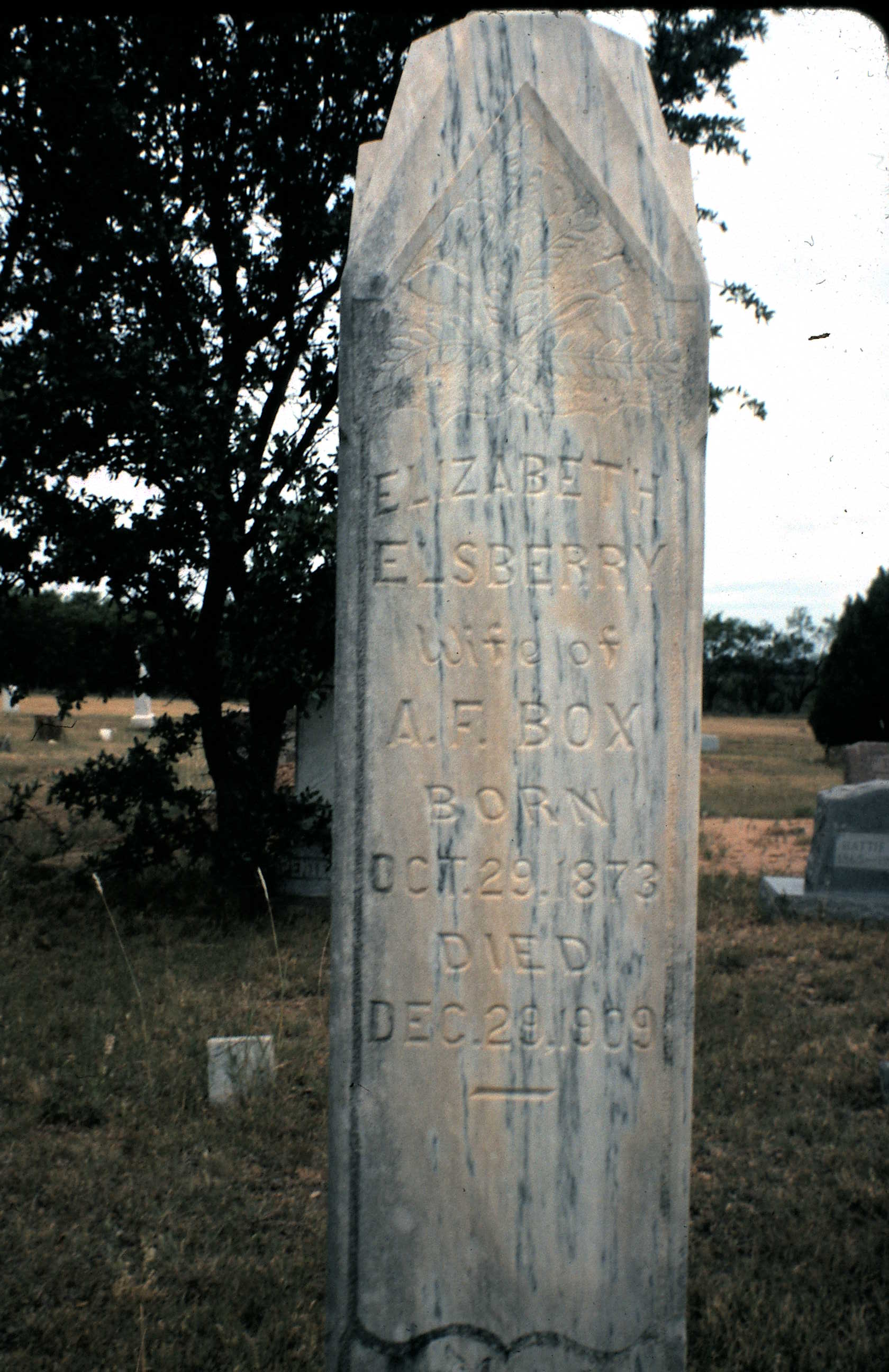 Elsberry Family Photos